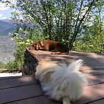 Chalet Chalet Alpin Suisse Veysonnaz