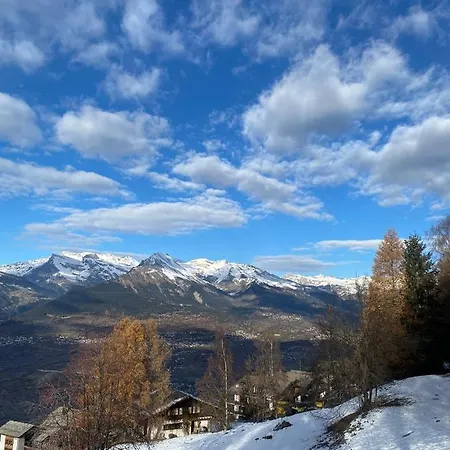 Alpin Suisse Dağ evi *