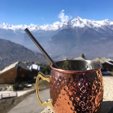 Alpin Suisse Dağ evi Veysonnaz