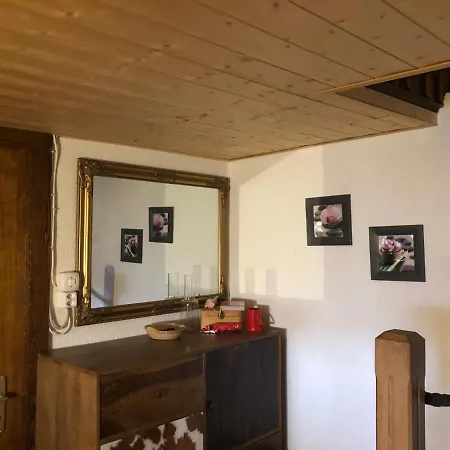 Alpin Suisse Dağ evi