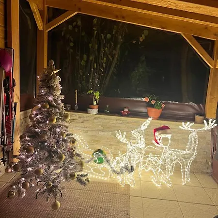 Alpin Suisse Dağ evi *