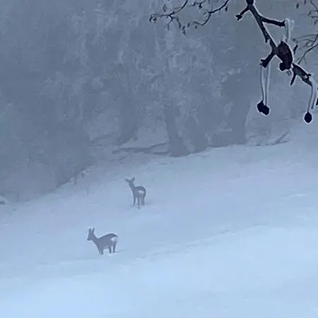 Alpin Suisse Dağ evi Veysonnaz