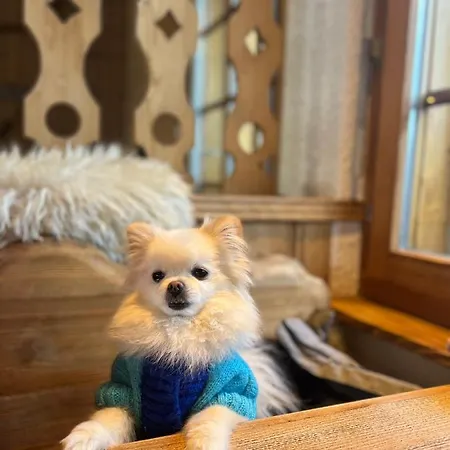 Alpin Suisse Вейзона