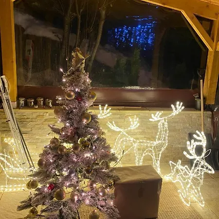 Alpin Suisse Dağ evi