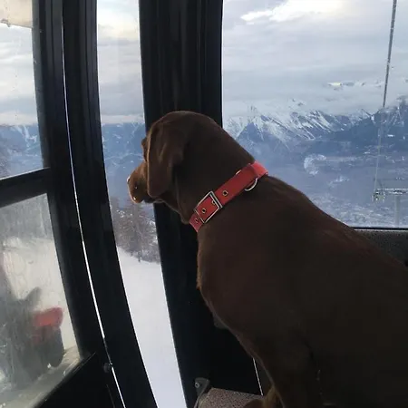 Alpin Suisse Dağ evi Veysonnaz