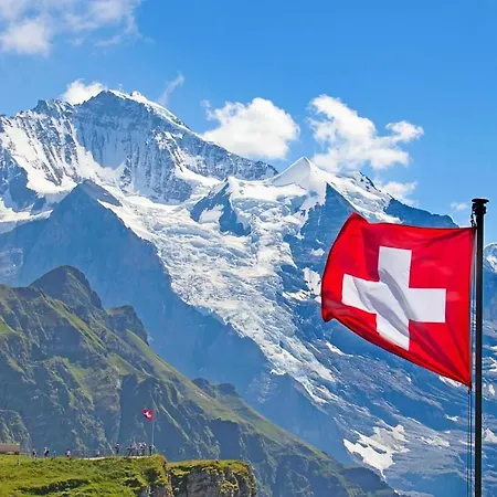 Alpin Suisse Dağ evi