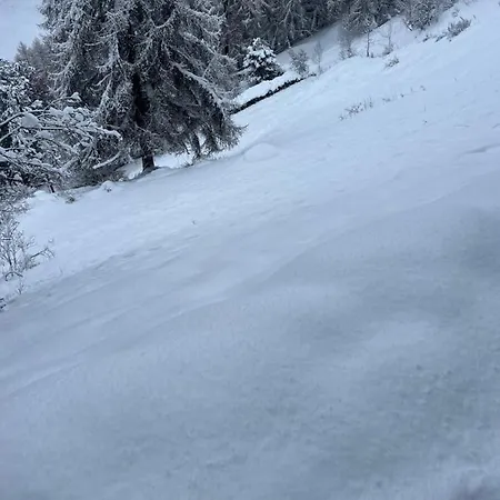Alpin Suisse Dağ evi *