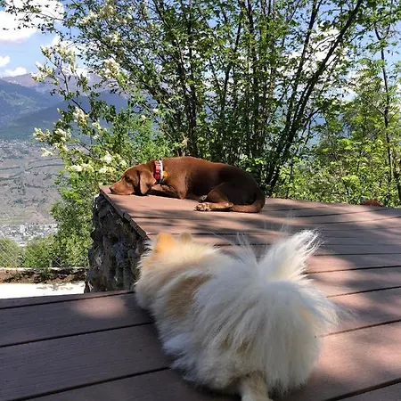 Dağ evi Alpin Suisse Veysonnaz