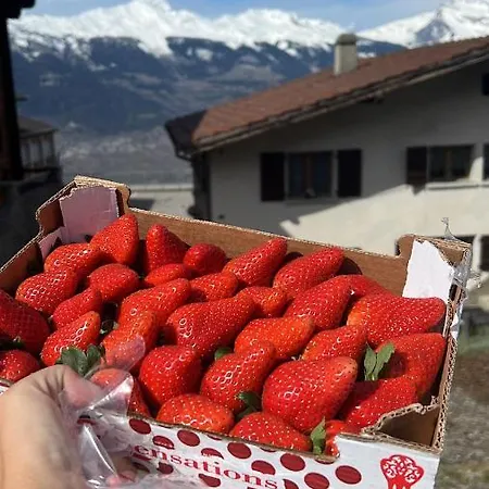 Dağ evi Alpin Suisse