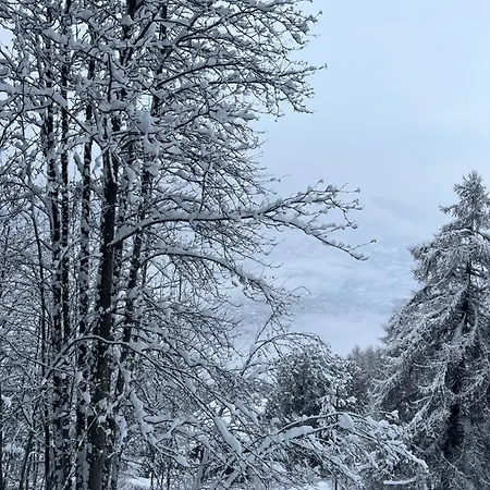 Alpin Suisse Шале Вейзона