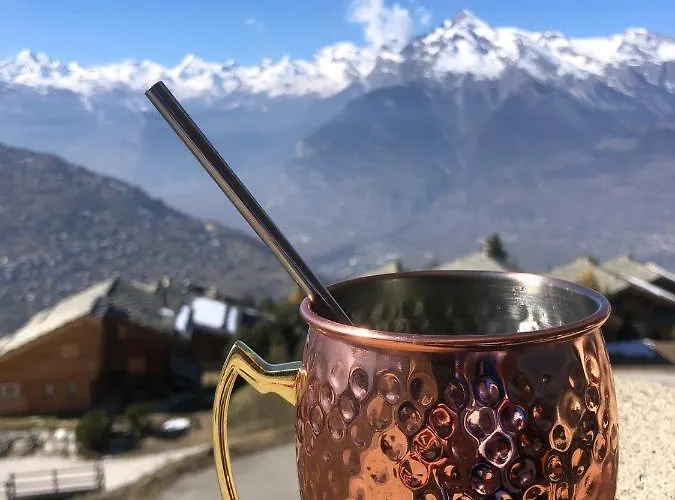 Alpin Suisse Horská chata Veysonnaz