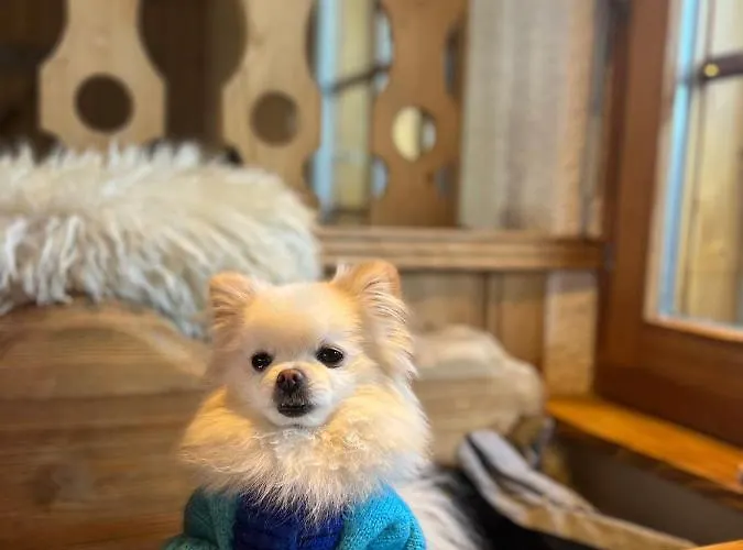 Alpin Suisse Veysonnaz