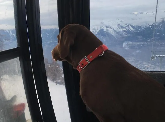 Alpin Suisse Horská chata Veysonnaz