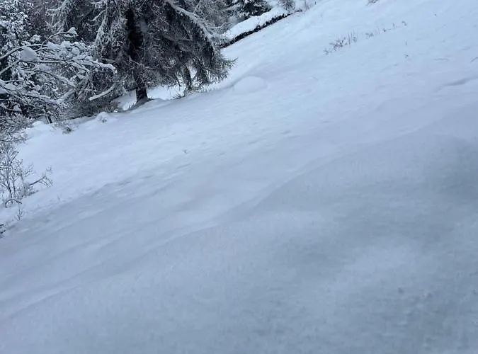 Alpin Suisse Horská chata *