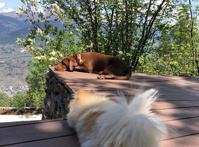 Horská chata Alpin Suisse Veysonnaz