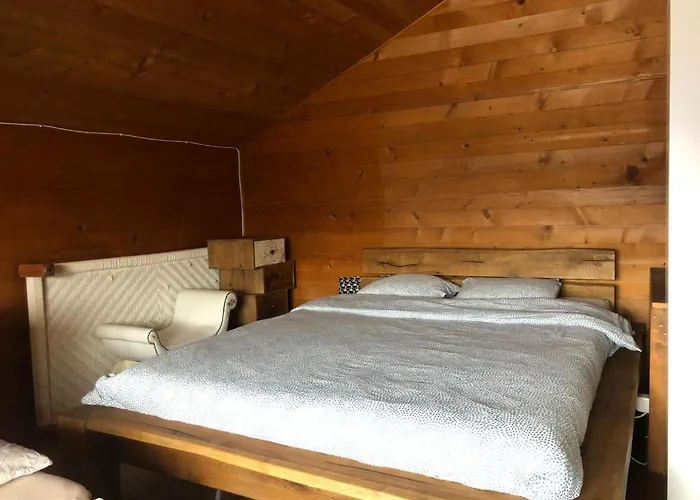 Alpin Suisse