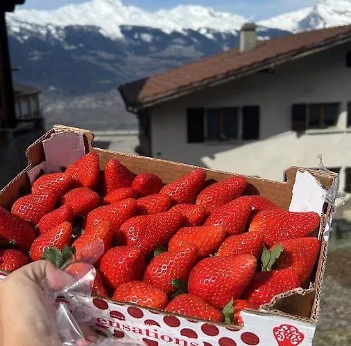 Horská chata Alpin Suisse