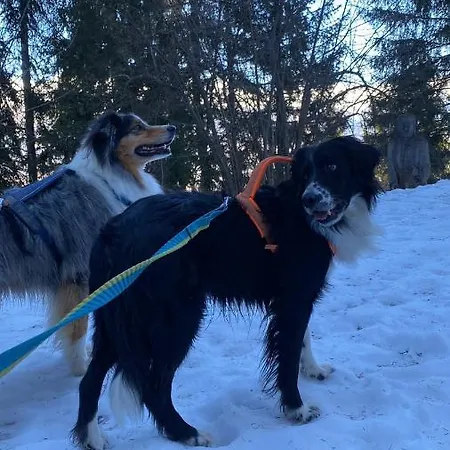 Alpin Suisse Veysonnaz