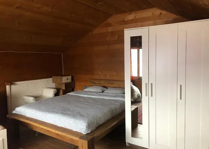 木屋 Alpin Suisse *